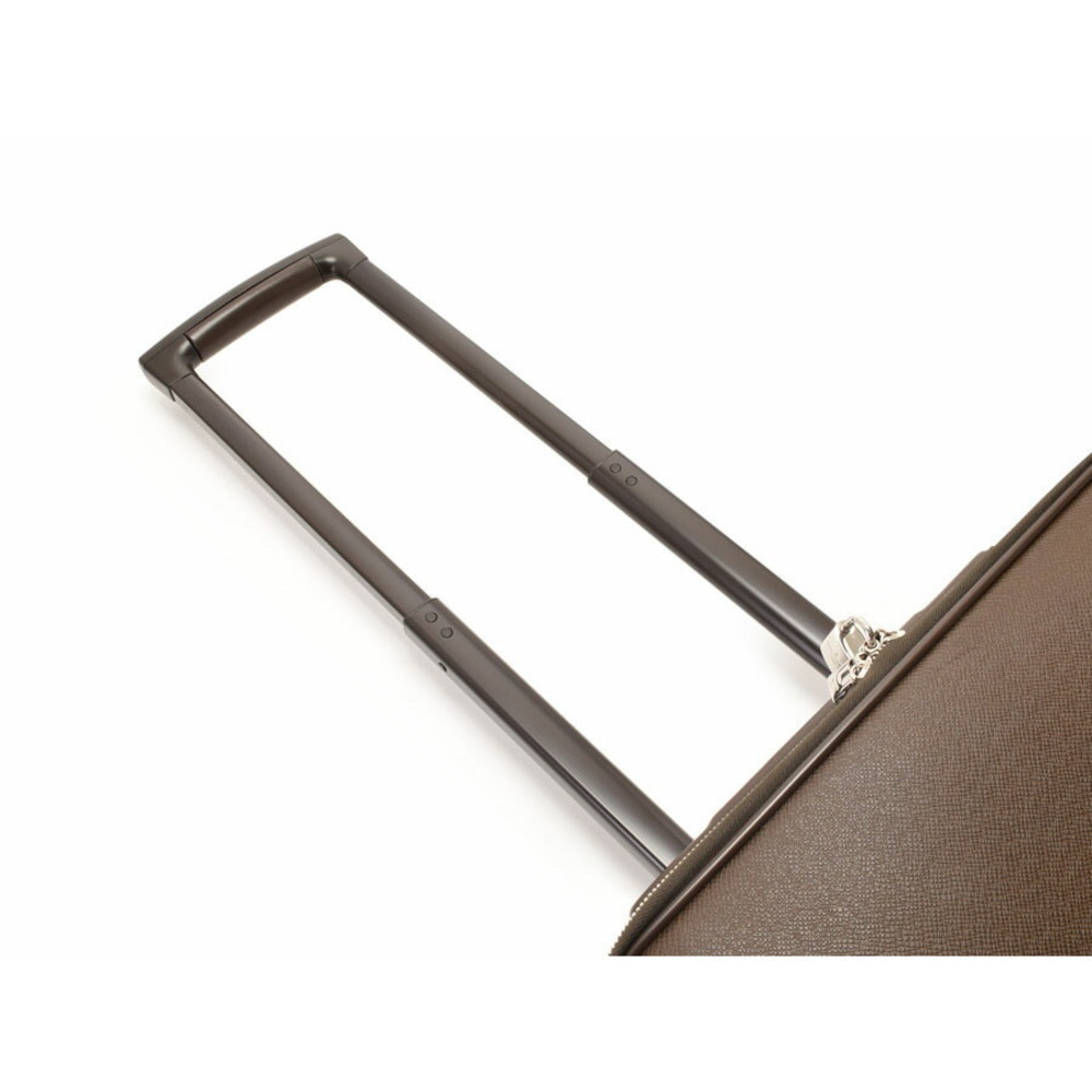 Louis Vuitton Taiga Pegasus Grizzly - Picture 3 of 9